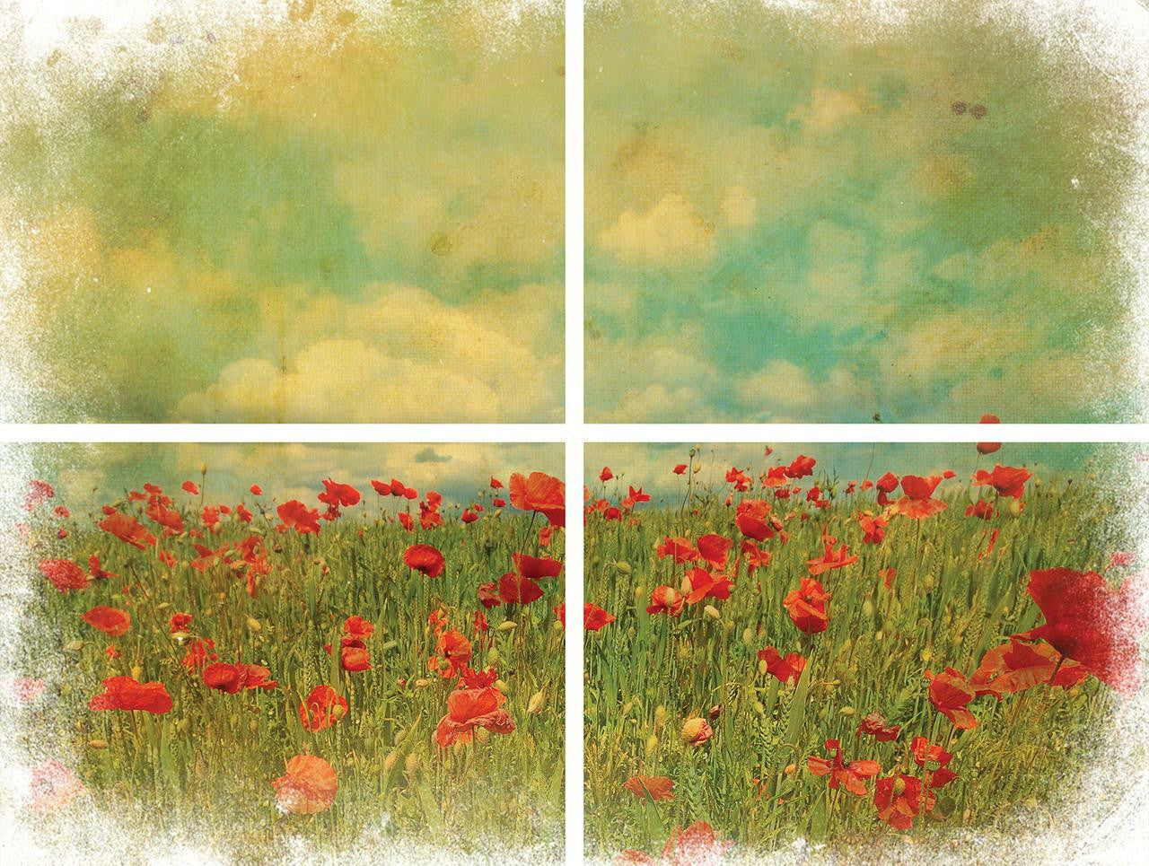 Field of Flowers - Rub-on Transfer