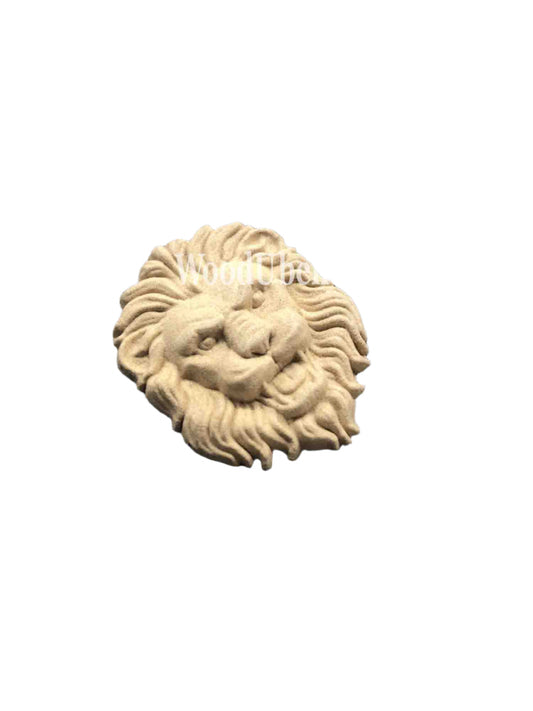 Lions #WUB1458 (Set of 5)