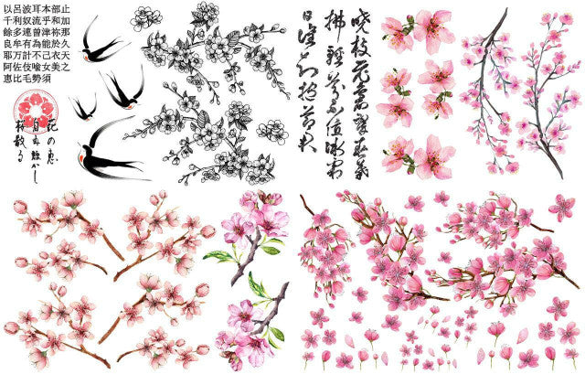 Cherry Blossom- Transfer